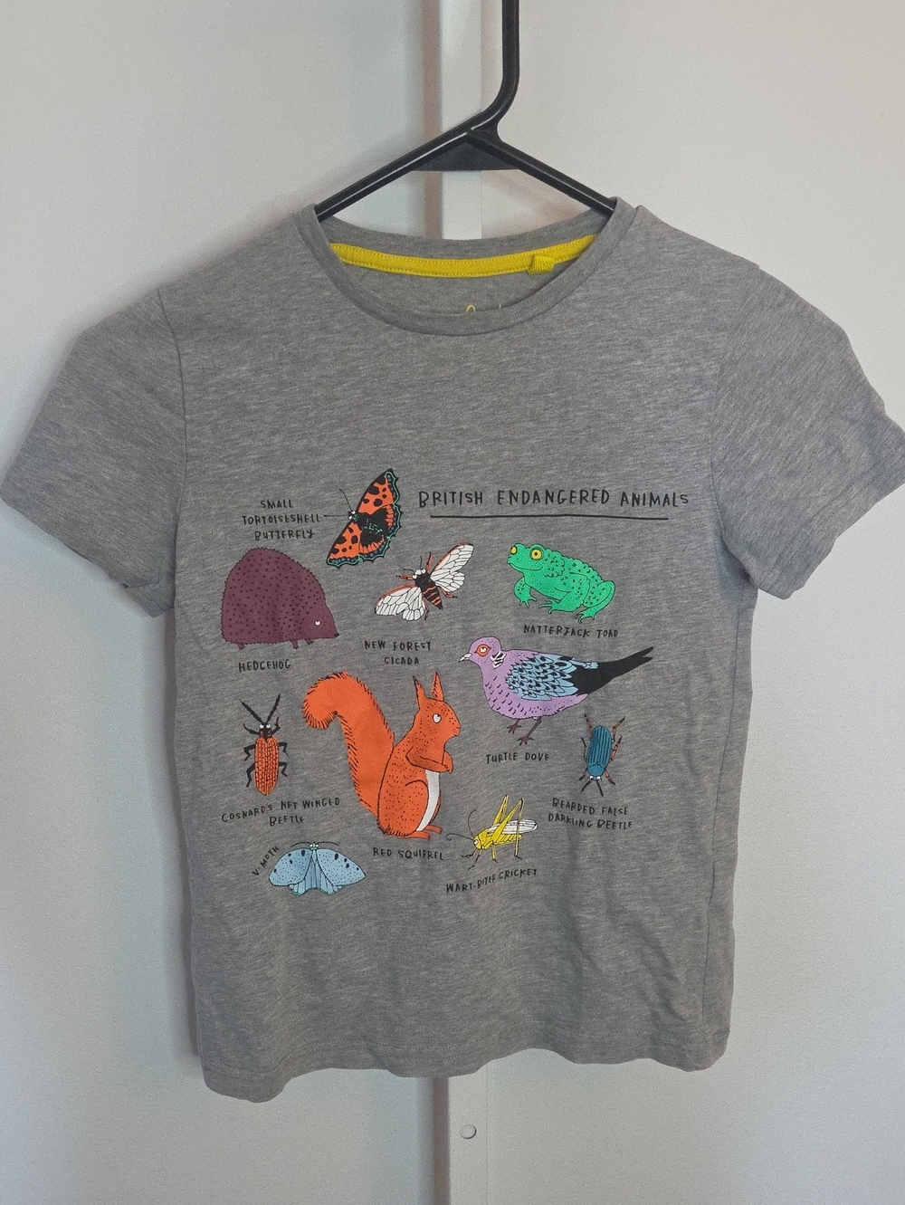 Mini Boden Boy’s sz 8/9 British Endangered Animals Cotton short sleeve shirt